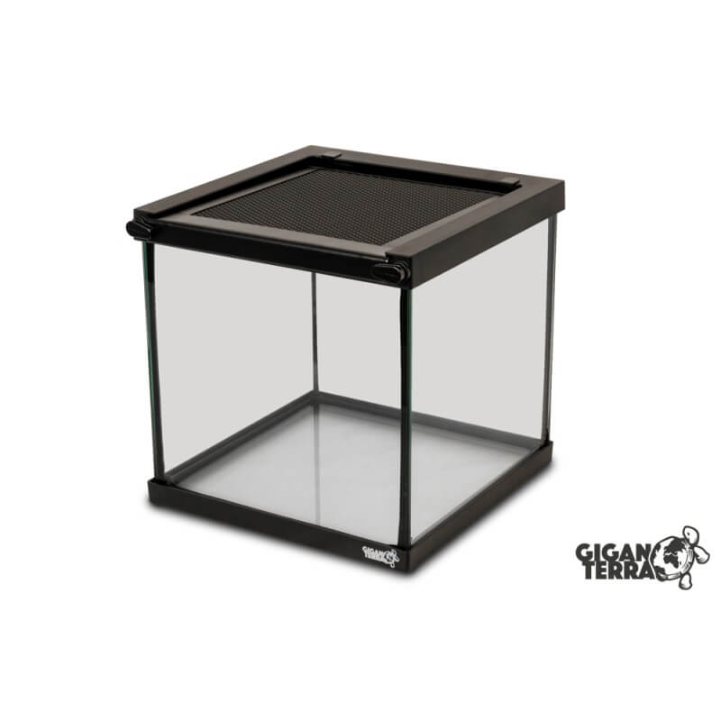 Image secondaire de la boutique