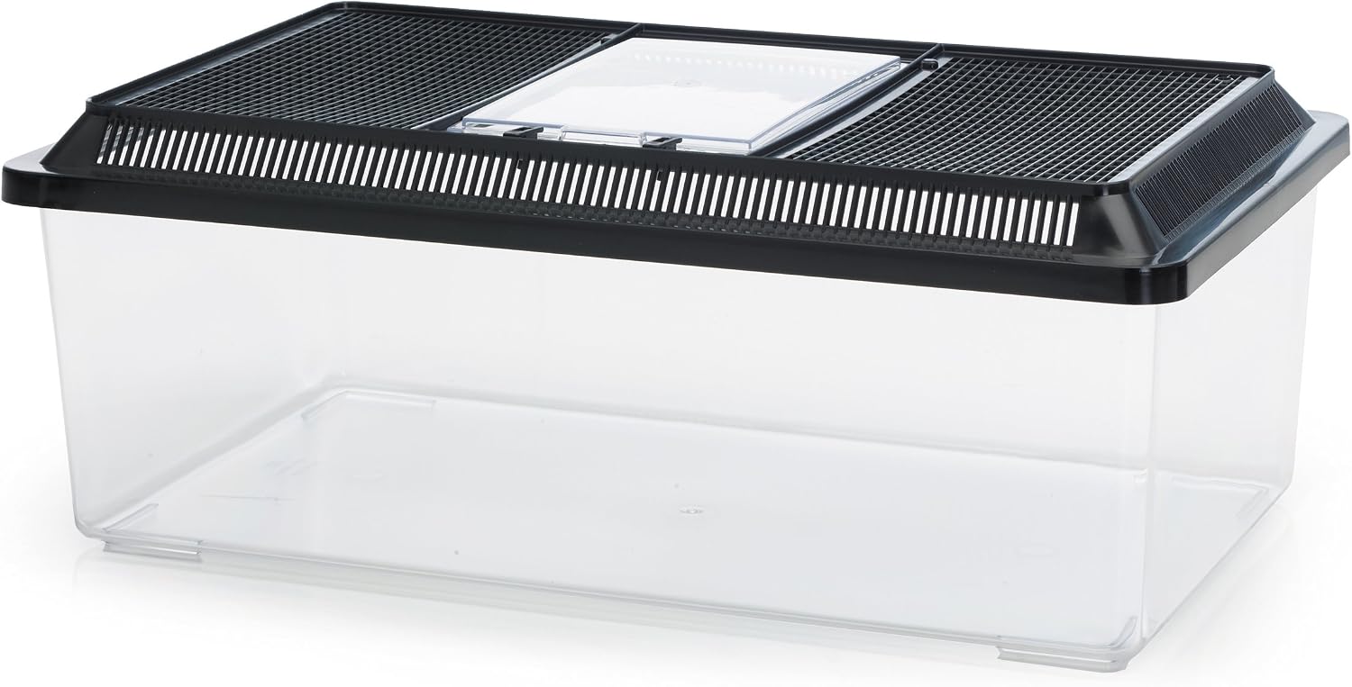 Boite d'élevage SAVIC 50cm