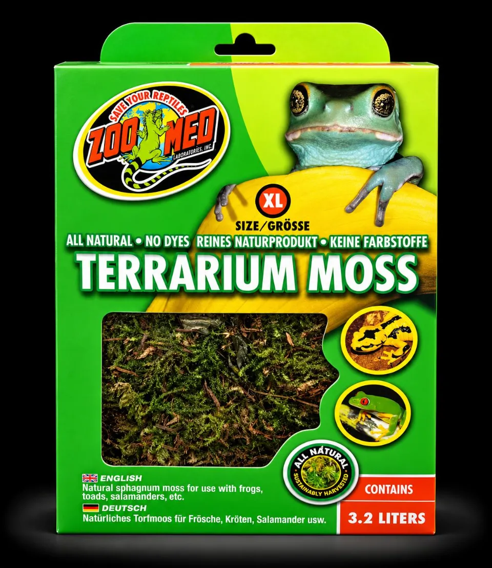 Zoomed terrarium moss XL