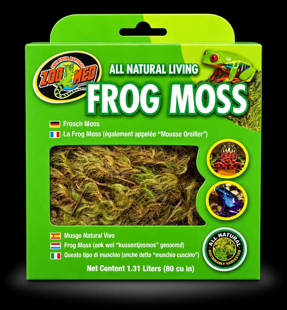 Zoomed frog moss