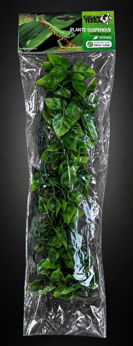 giganterra-plante-suspendue-pothos-56cm-g04-00357 giganterra-plante-suspendue-pothos-56cm-g04-00357