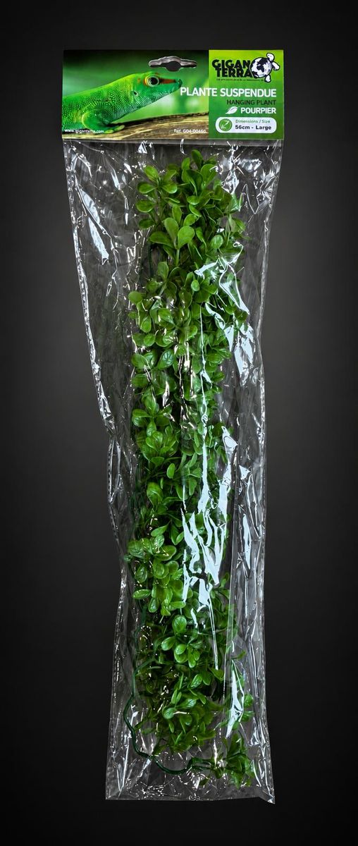 giganterra-plante-suspendue-pourpier-56cm-g04-00460