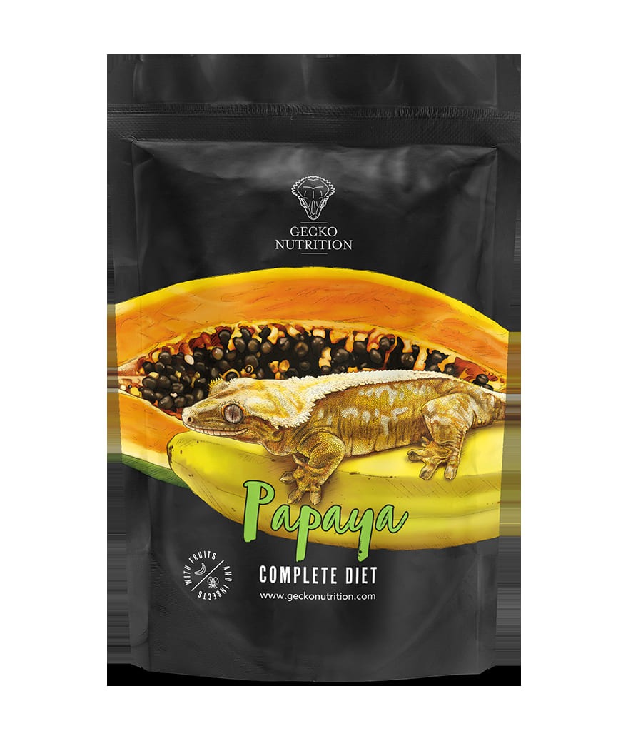 Gecko nutrition Papaye gecko nutrition papaye