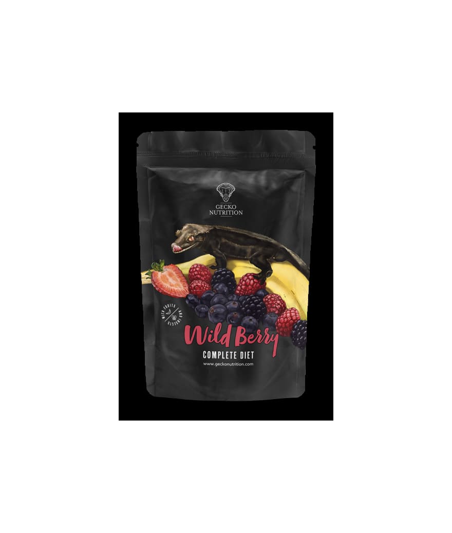 gecko nutrition fruits rouges