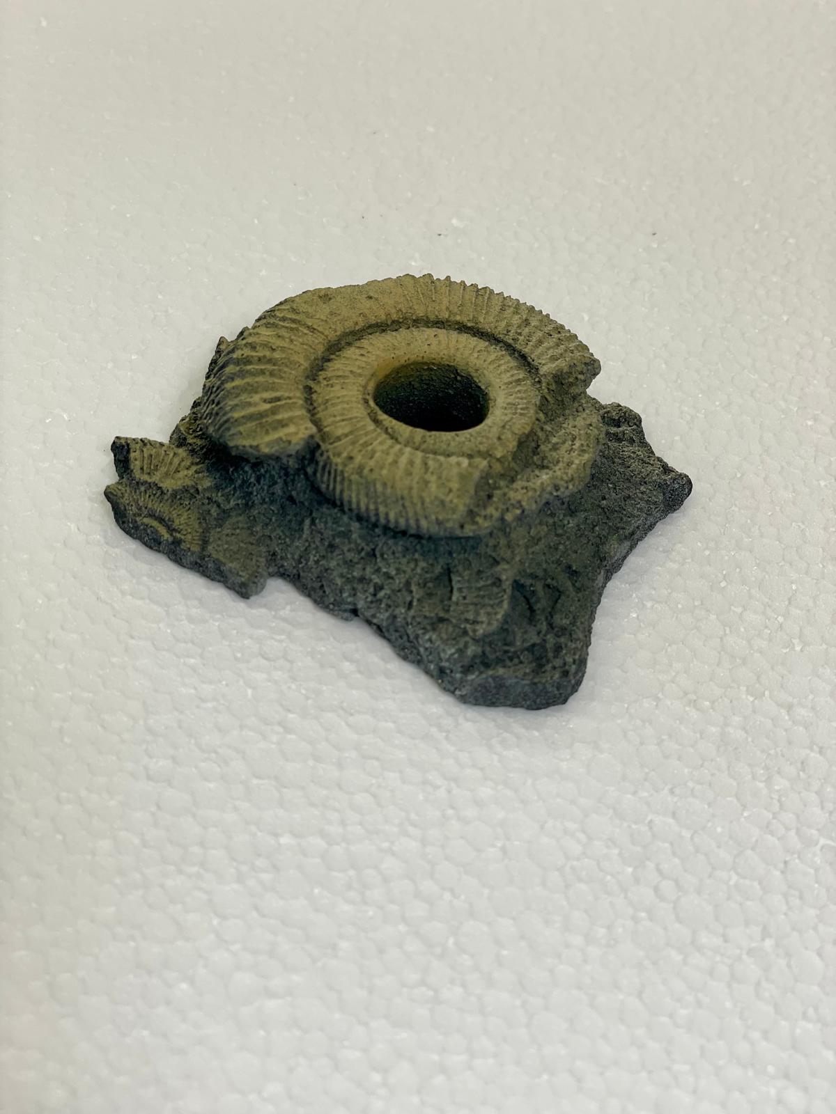 ammonite fossile artificielle ammonite fossile artificielle
