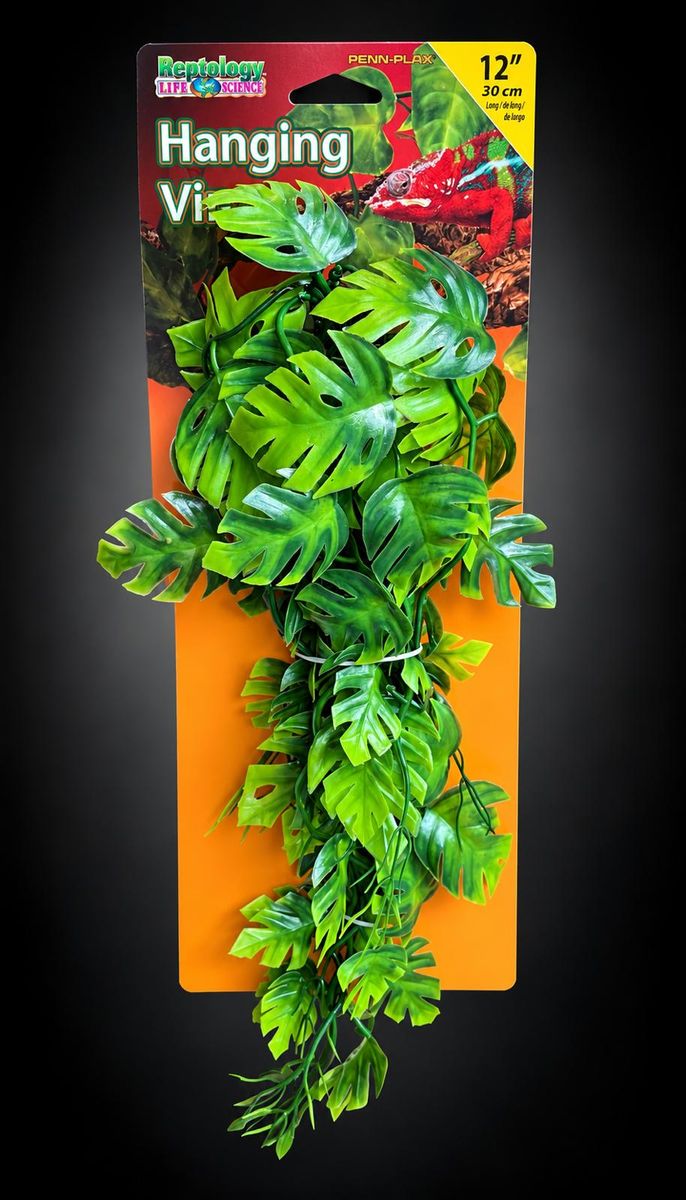 reptology-hanging-vine-vert-30cm