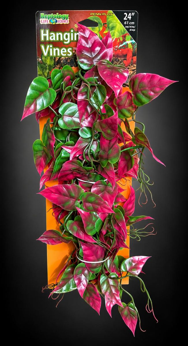 reptology-hanging-vine-vert-rouge-61cm-rep425